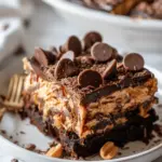 The Best Chocolate Peanut Butter Dump Cake Recipe