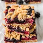Berry Crumble Bars for Vegans by Wellness by Kay